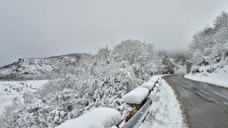 EAJ-PNV de Montaña Alavesa vuelve a denunciar la dejadez de la Cuadrilla en la limpieza de las carreteras de la comarca